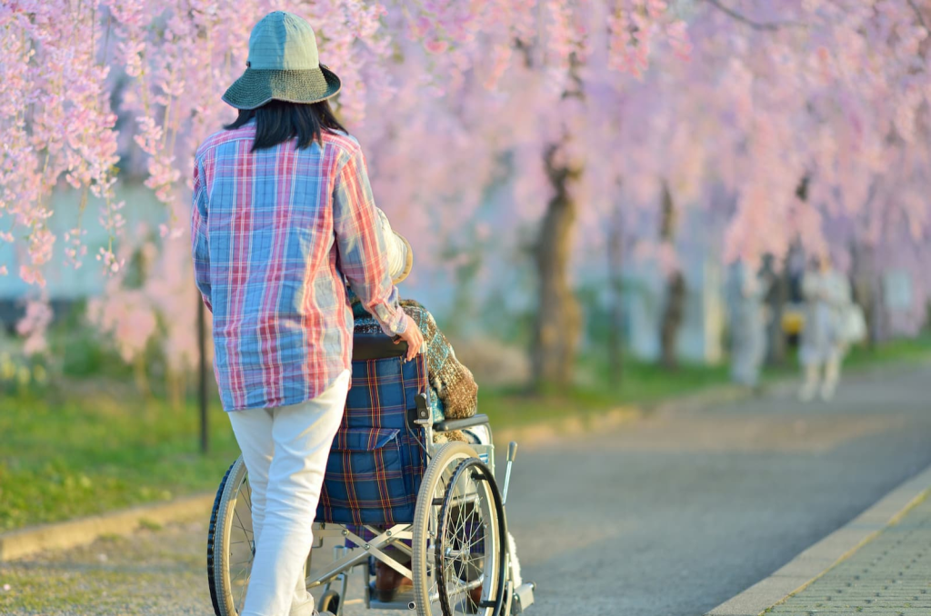 枝垂れ桜の下を散歩するシニアと付き添いスタッフ
