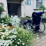 団地に咲く花と車いす
