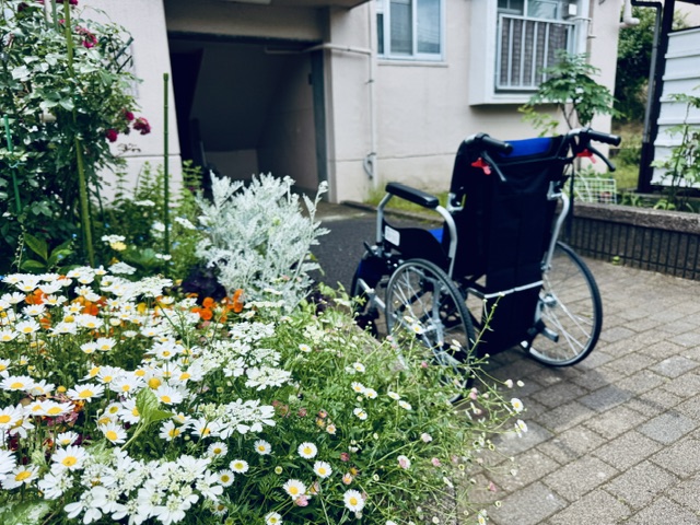 団地に咲く花と車いす
