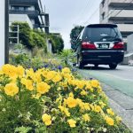 南町田病院の花壇と福祉介護タクシー車両