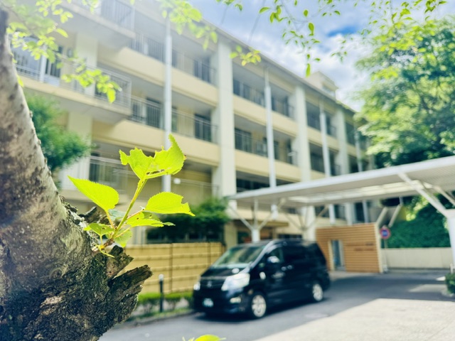 桜の木の向こうのリハリゾート青葉で福祉介護タクシー車両を止める様子